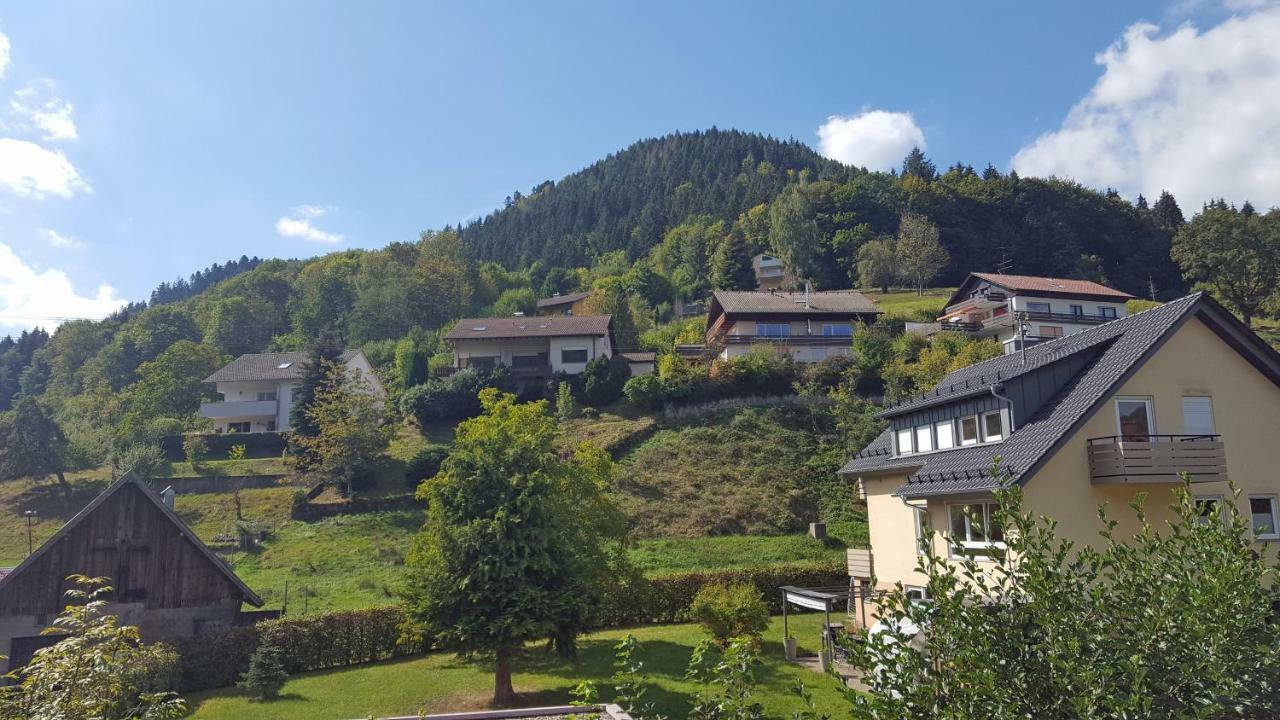 Ferienwohnung Am Kurpark 巴特维尔德巴德 外观 照片