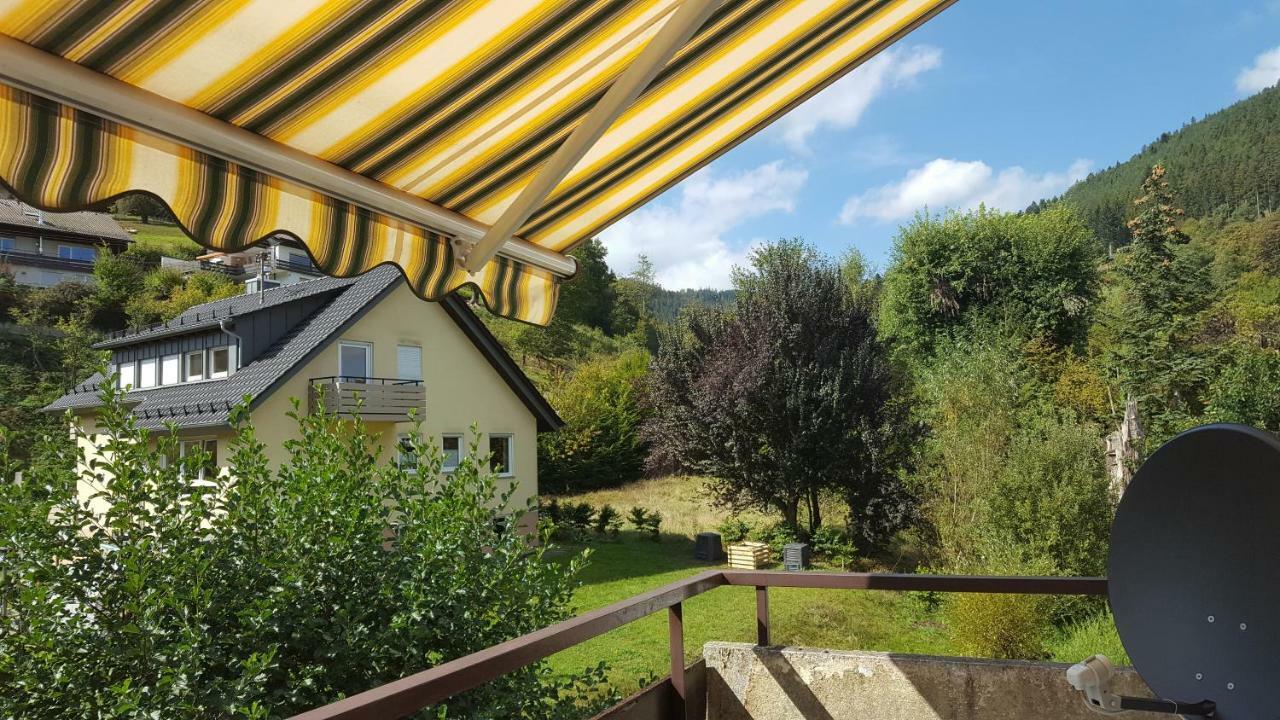 Ferienwohnung Am Kurpark 巴特维尔德巴德 外观 照片