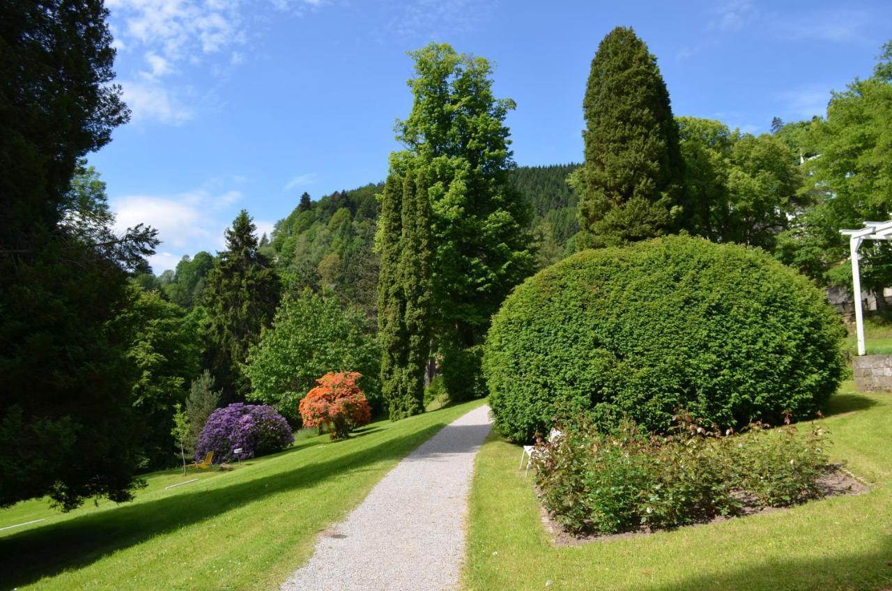 Ferienwohnung Am Kurpark 巴特维尔德巴德 外观 照片