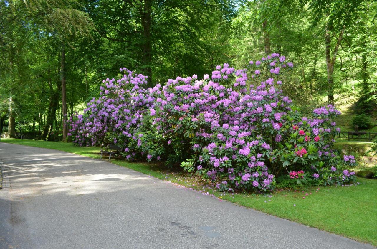Ferienwohnung Am Kurpark 巴特维尔德巴德 外观 照片